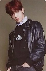 MINI DICON 周邊卡 