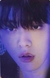 MINI DICON 周邊卡 