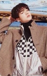 MINI DICON 周邊卡 