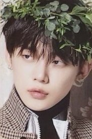 MINI DICON 周邊卡 