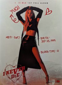 I NEVER DIE 海報 Risky版