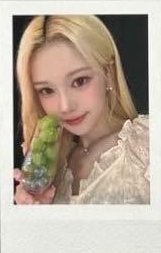 WAV二期會員 會員禮卡 