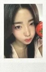 WAV二期會員 會員禮卡 