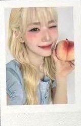 WAV二期會員 會員禮卡 