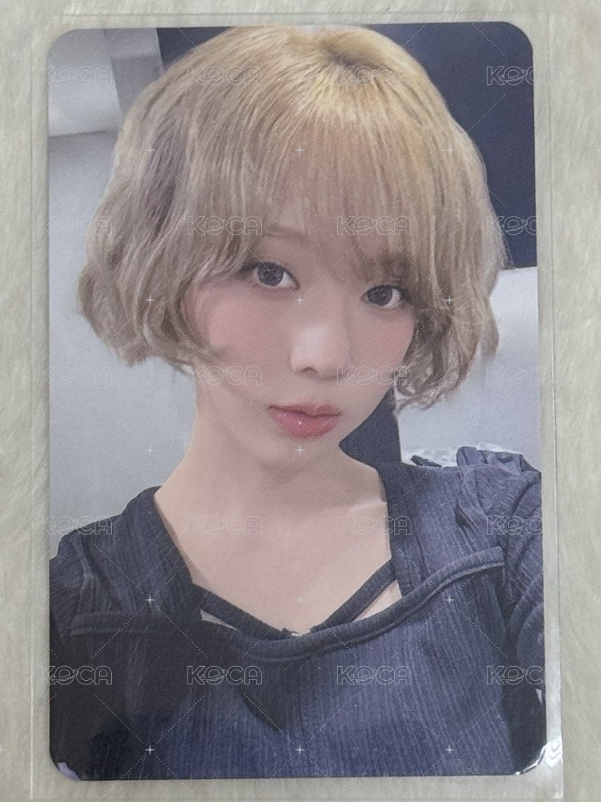 泡芙冬