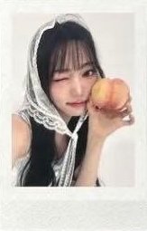 WAV二期會員 會員禮卡 