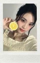 WAV二期會員 會員禮卡 