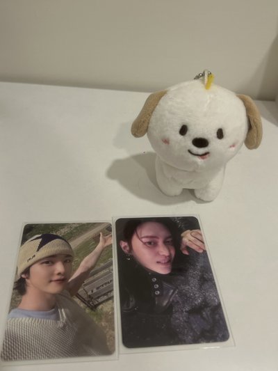 RIIZE情人節10cm娃 狗龍原皮 圖一整圖售