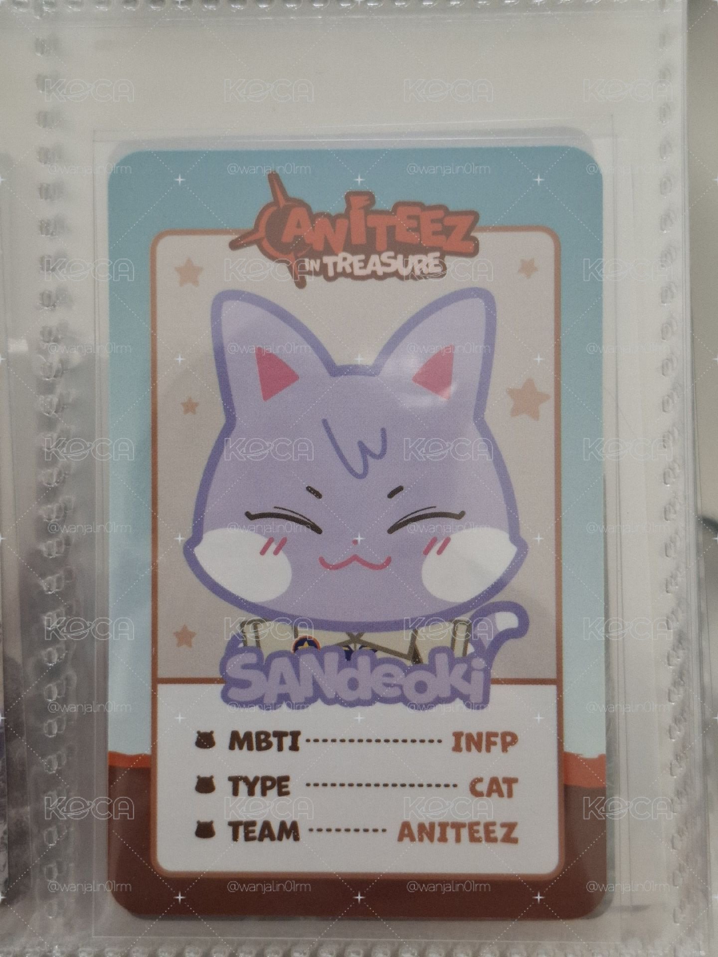 寶藏小動物小卡
