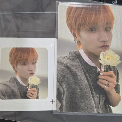 ‘’花是邀請的門票‘’wvs pb花花特典