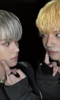 blackout 卡包專 專輯卡 雙人卡