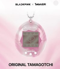 電子寵物機 kkt 電子寵物機 