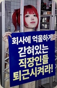 迷二 dmm 線上 1.0 簽售卡 