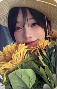 迷一 br 線上 4.0 簽售卡 向日葵 ver.