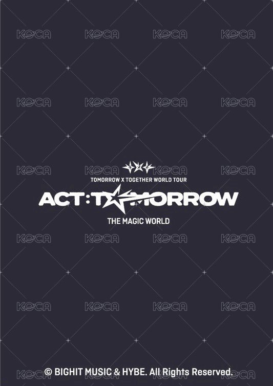 25’巡迴 日巡 周邊卡 The Magic World 卡夾 背面