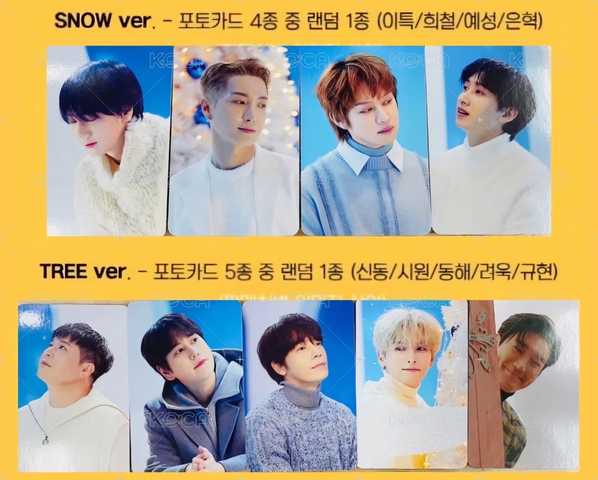 正規11 Vol.2 新那拉 特典卡  背面