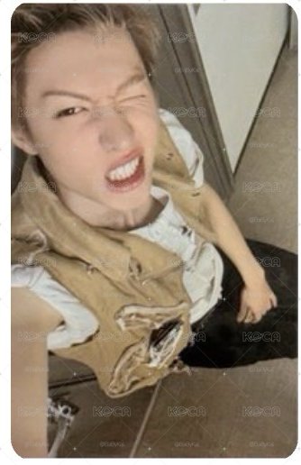 wvs馬