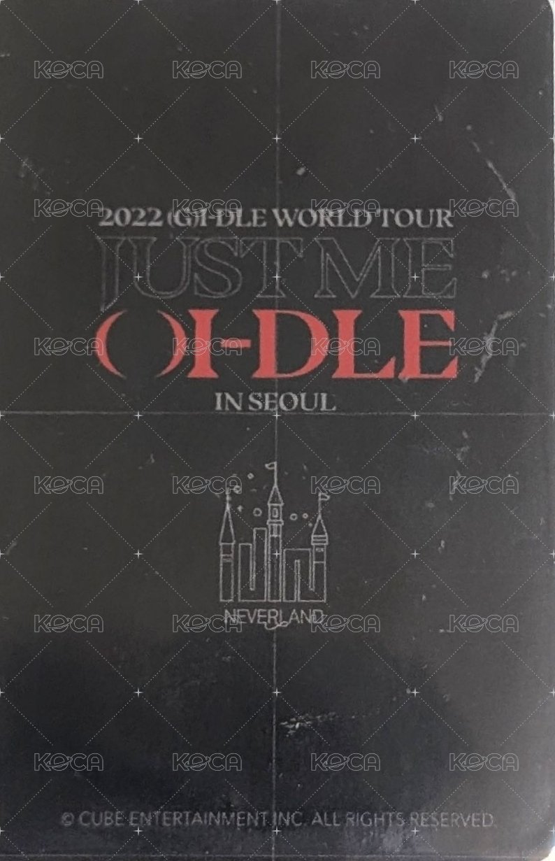 2022世巡 入場卡 / 場限卡 咬指妮 背面