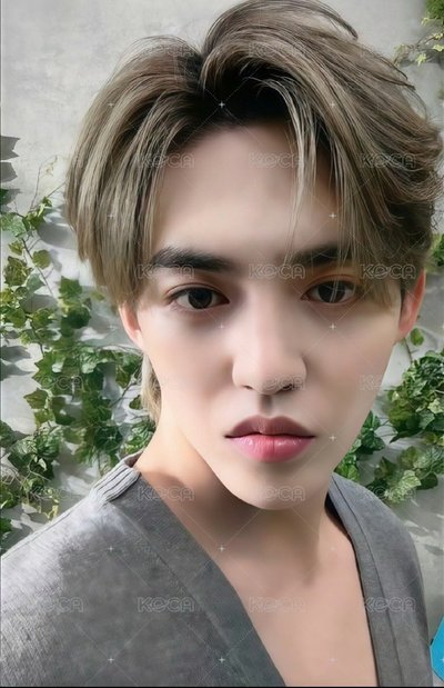 消費期限 塔店 特典卡 