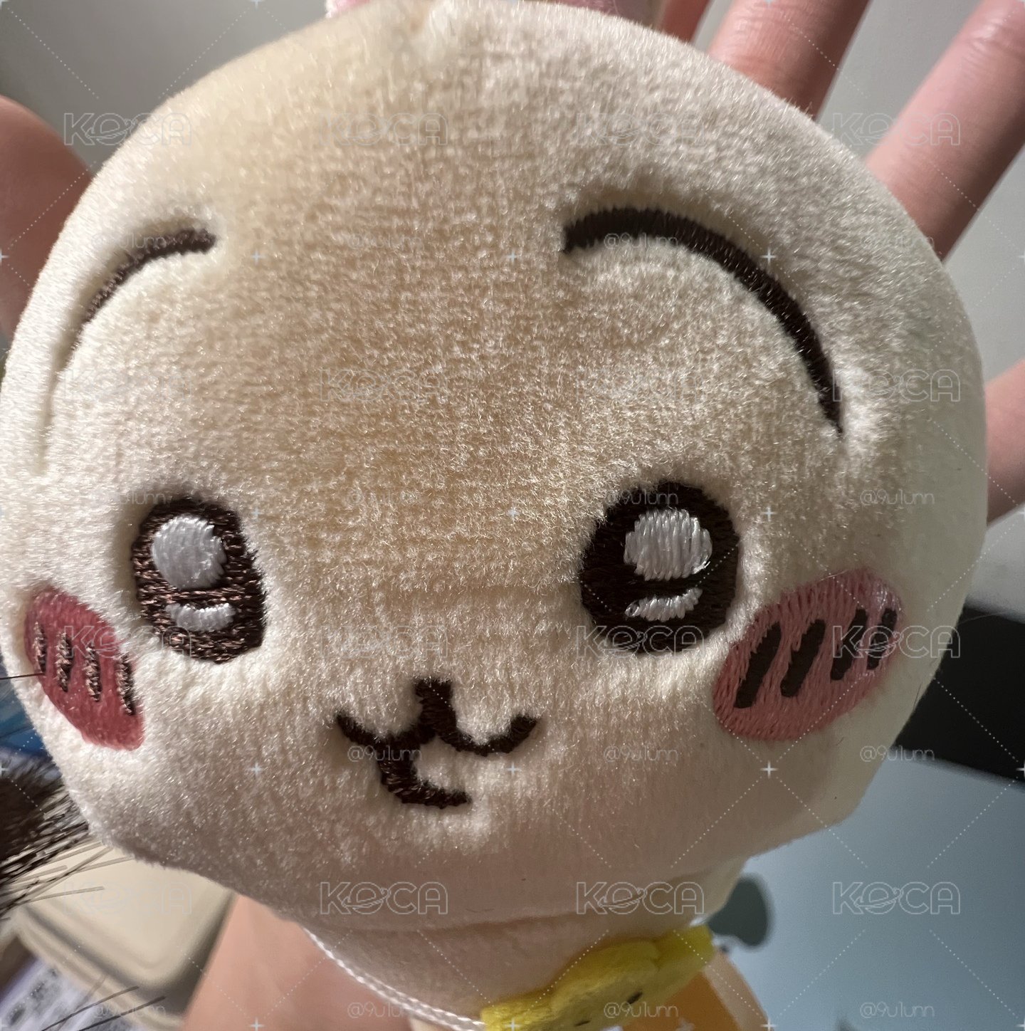 今日出去玩