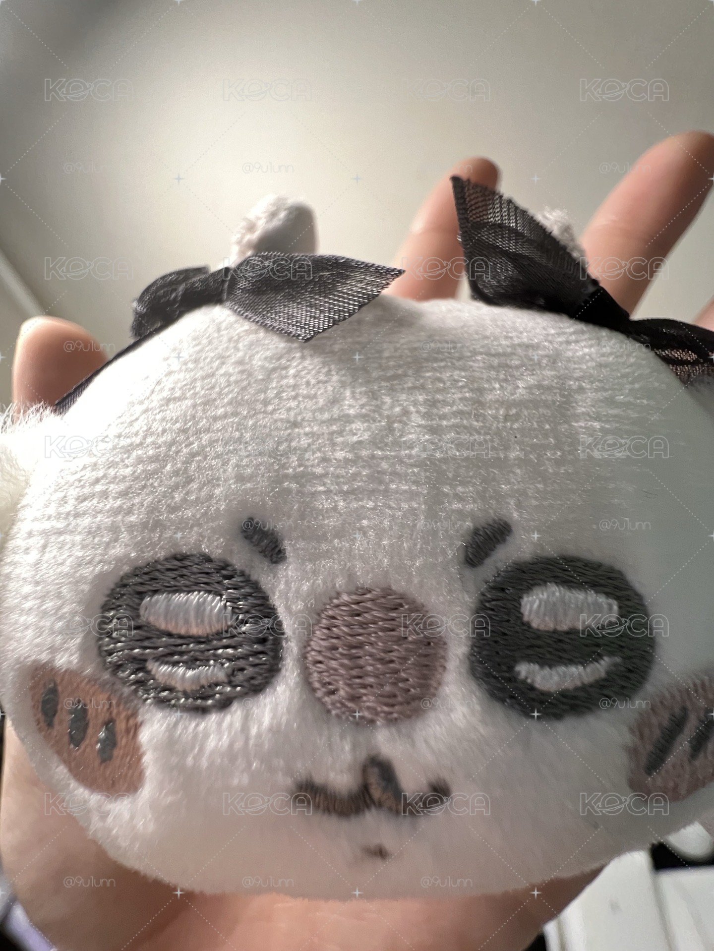 蓮霧