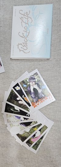 mini cd 拍立得 (無小卡)