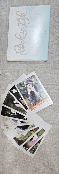 mini cd 拍立得 (無小卡)