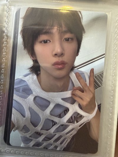 現貨WVS 末簽卡 馬丁 主訓 成玹