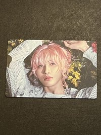 粉髮星（QR未掃）