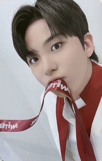 ANITEEZ IN THE CALLING 周邊卡 HOODIE