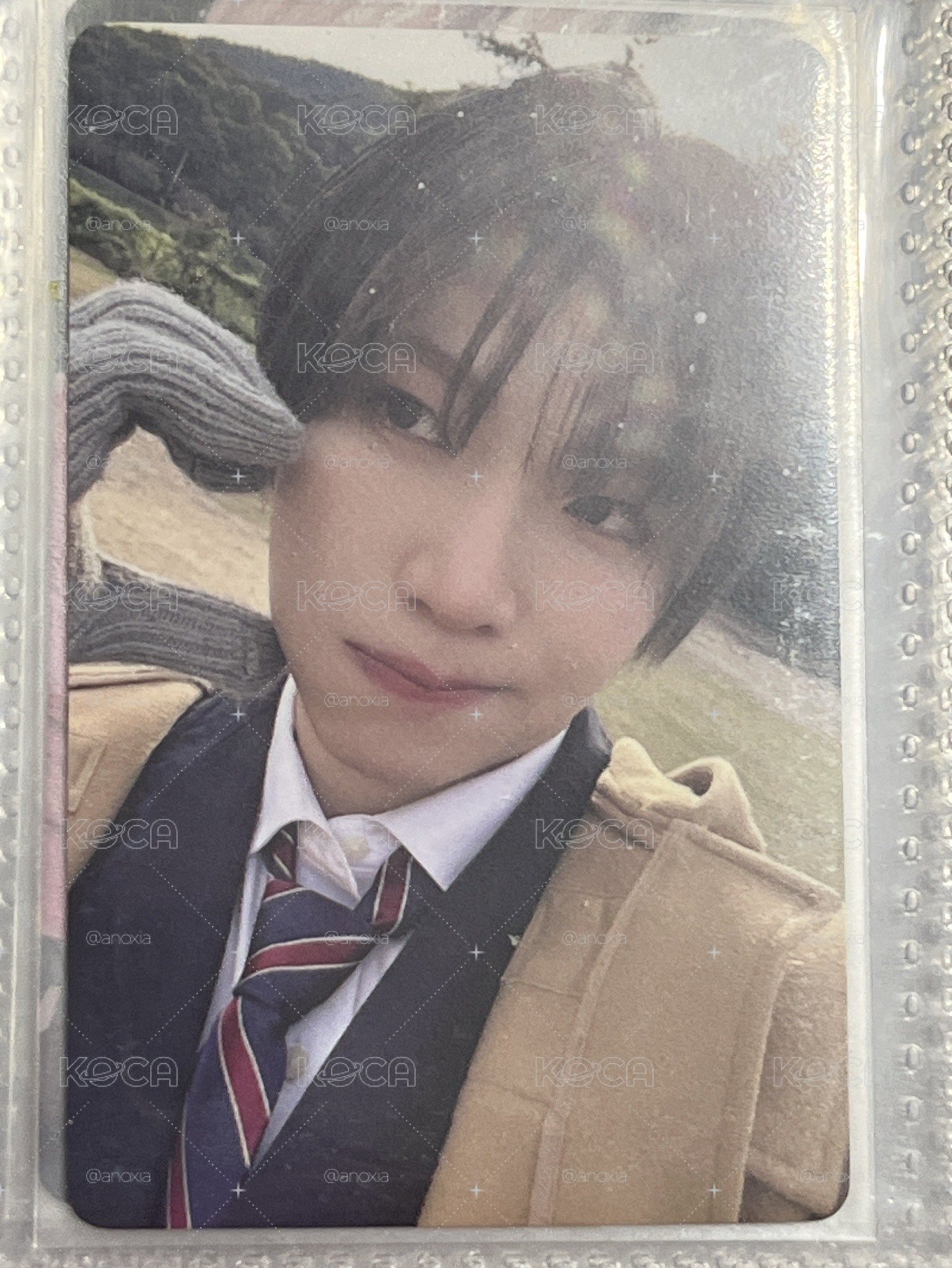 貓