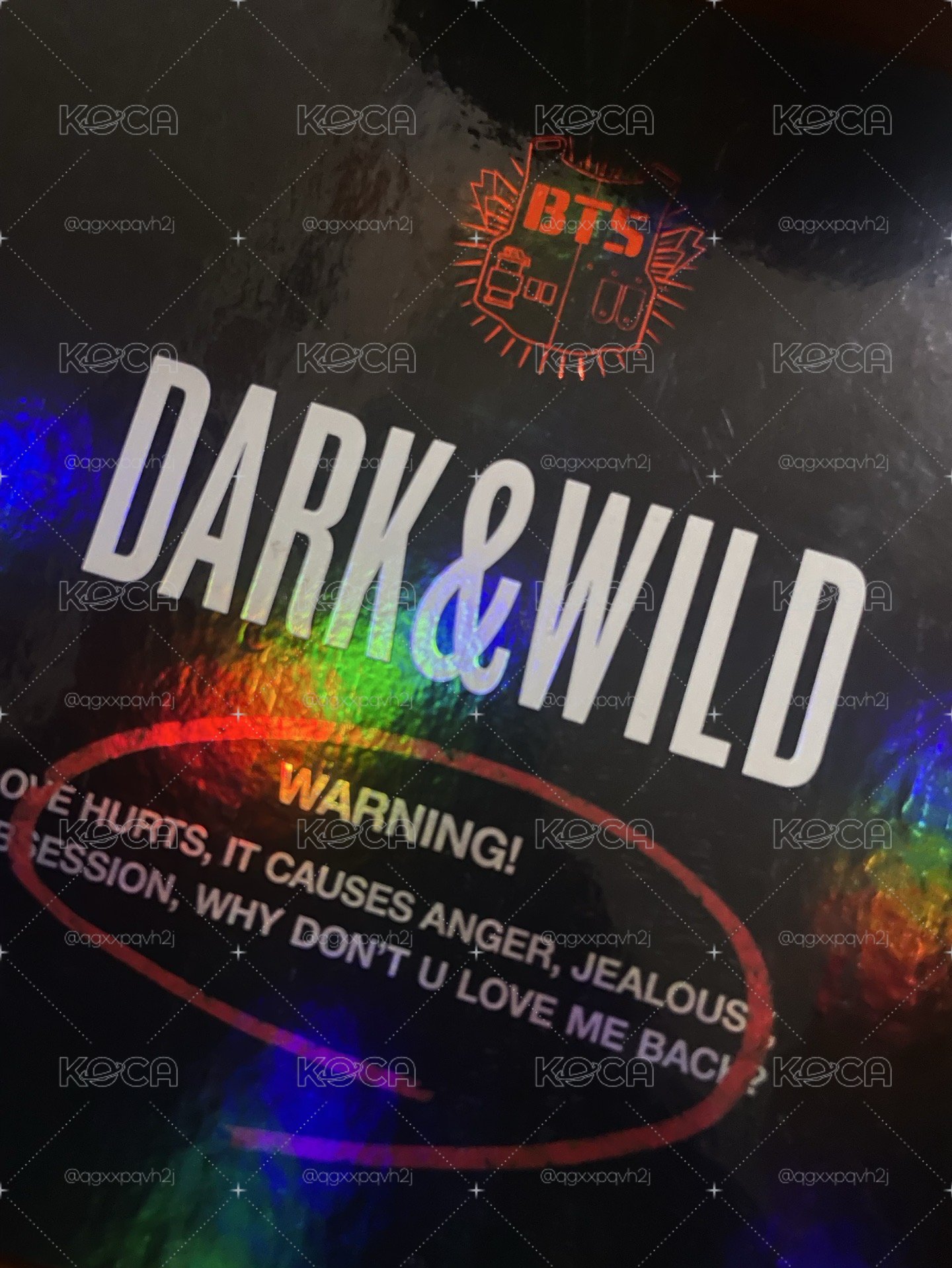 D&W專