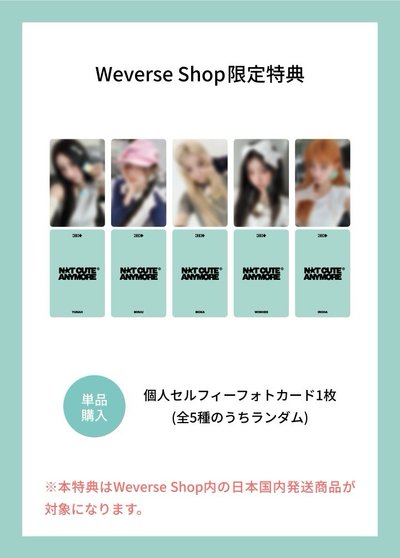 NOT CUTE ANYMORE 日咖 來日紀念