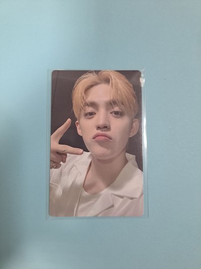 迷你十二wvs特典