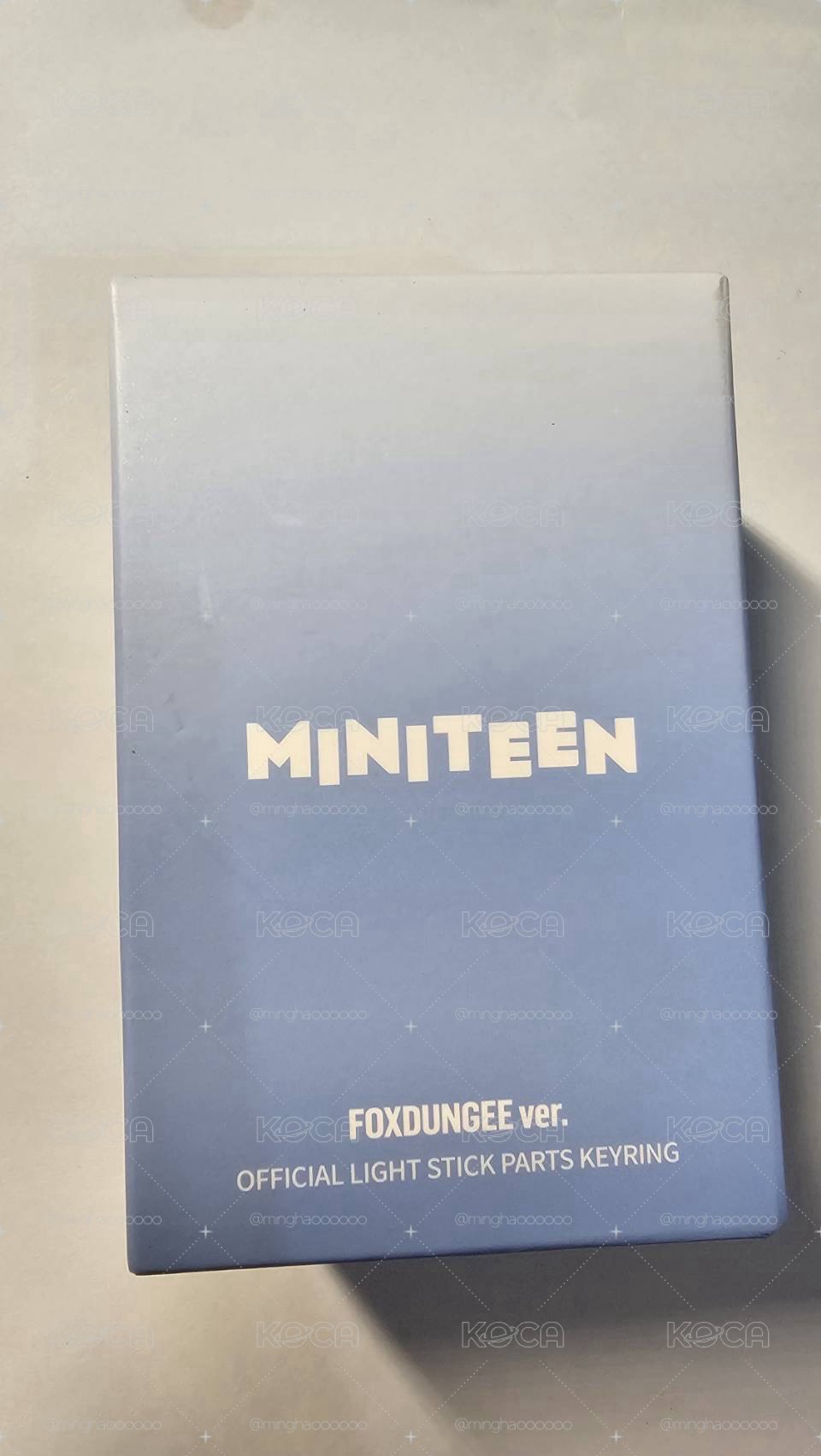 Foxdungee 圓佑 手燈燈芯替換頭