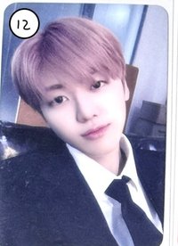 12.（中背 新疆兔兔大）