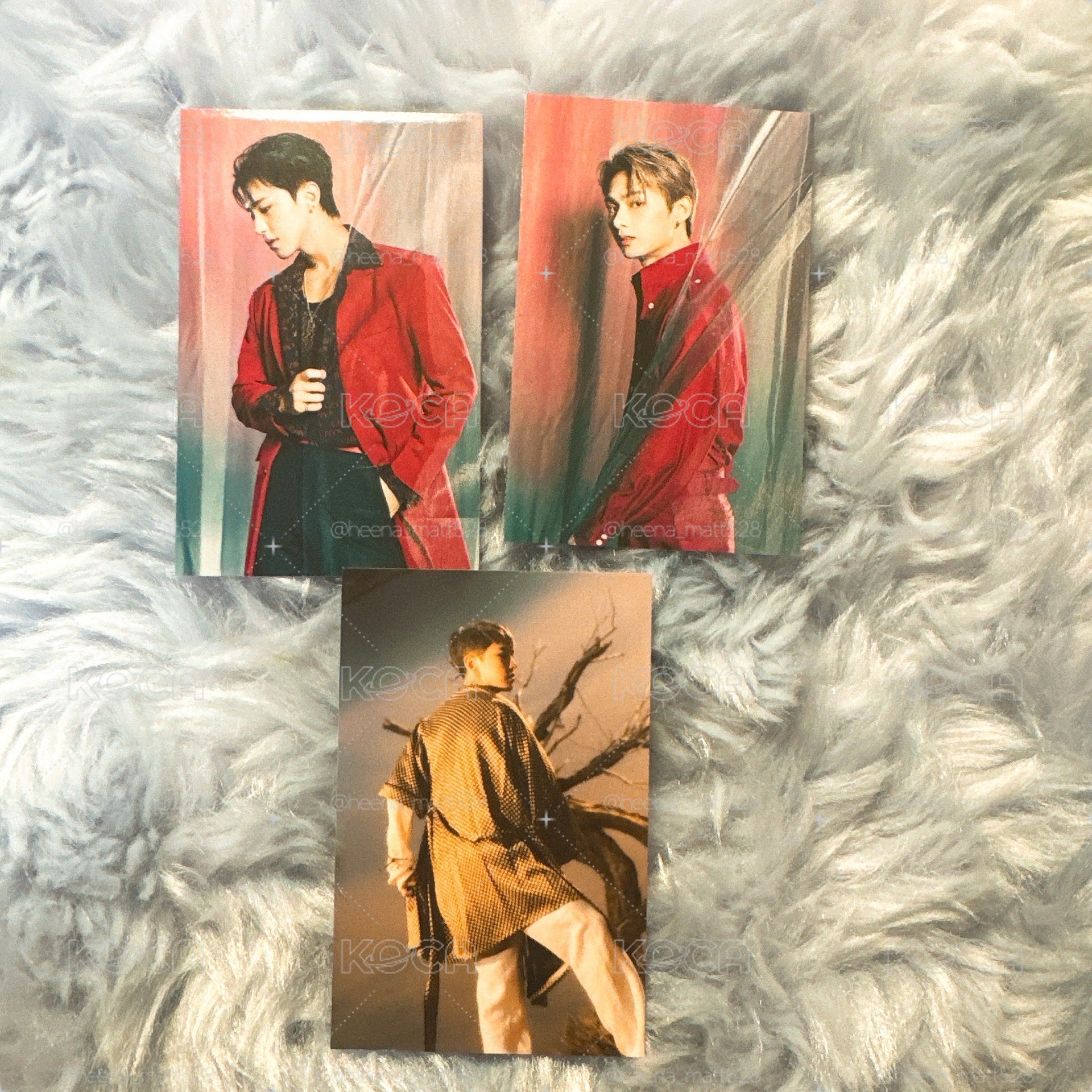 Seventeen 行李箱卡 風鈴卡 Hoshi Jun