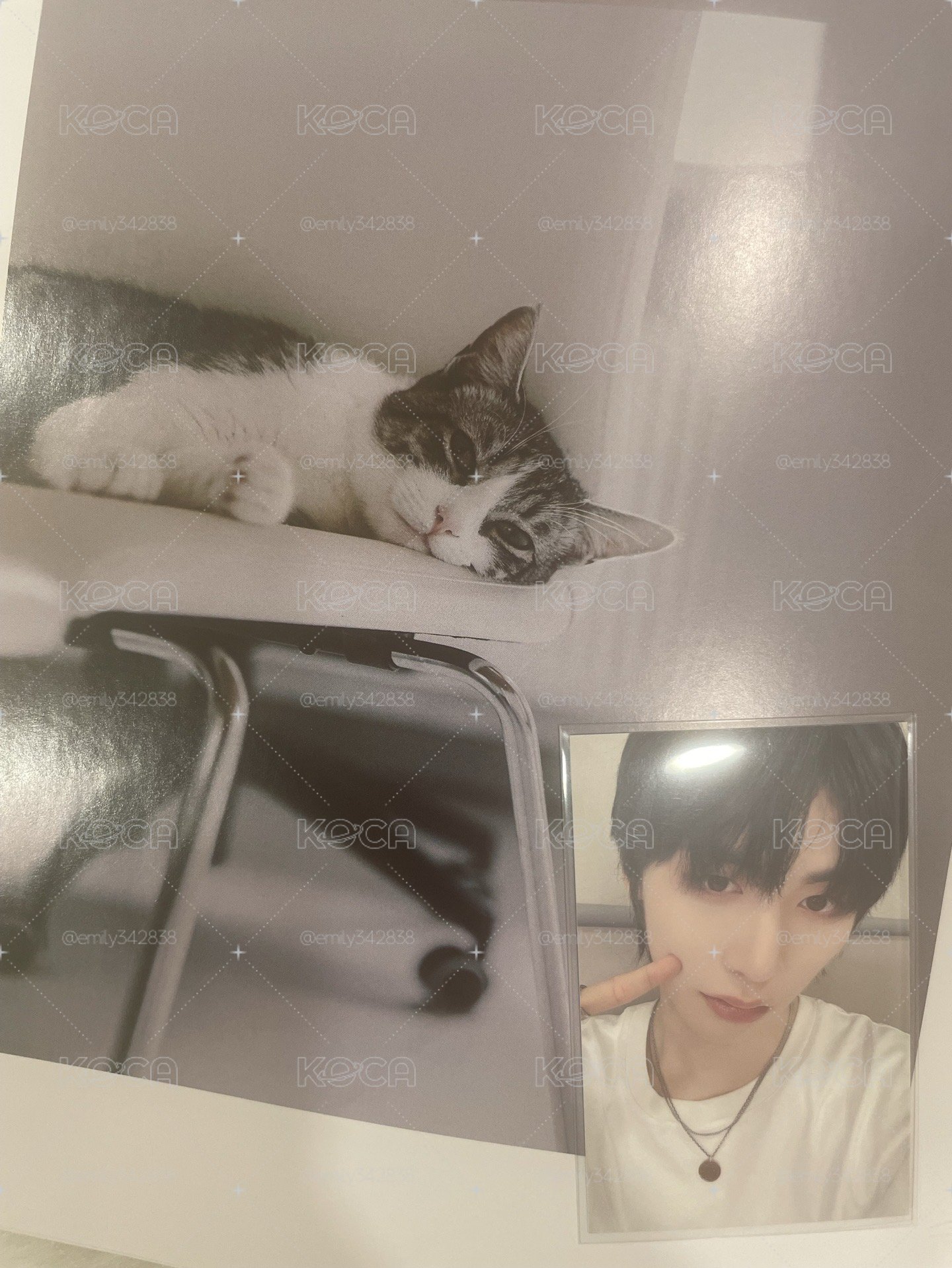 【BND】🐈‍⬛19.99環球抽選