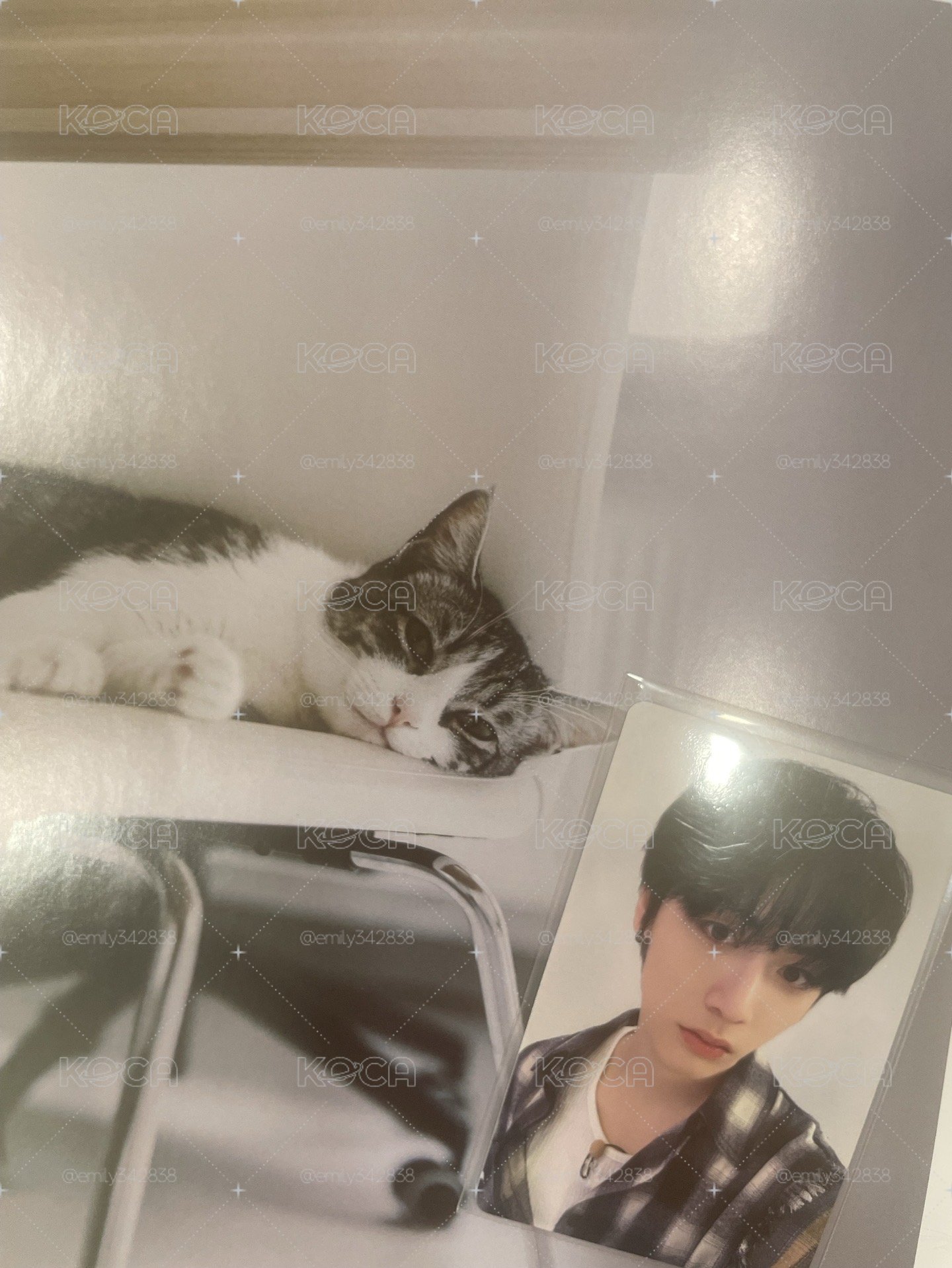 【BND】🐈‍⬛19.99 yzy1.0 簽售卡