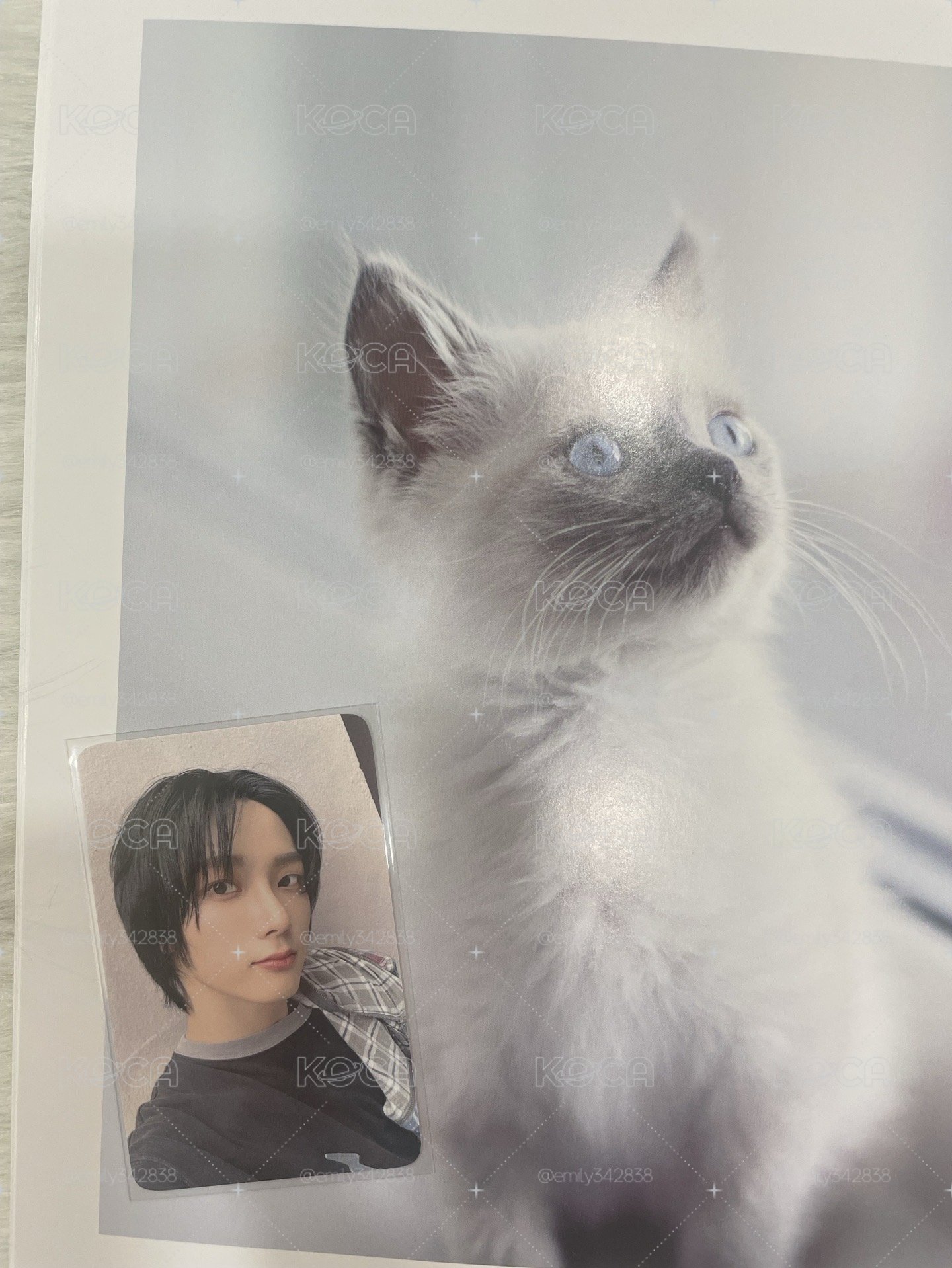 【BND】🐈WHY y版打歌卡