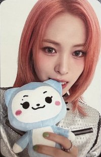 二巡 周邊卡 絨毛卡套