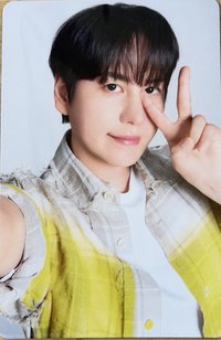 SS10 無尾熊餅乾 小熊餅乾 隨機卡 