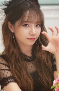 1st 演唱會 KIT版 固配小卡 演唱會 DVD / CD 卡 