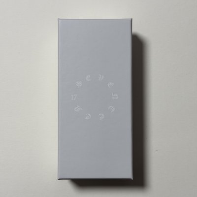 🦁S.COUPS 六週年 飾品配件 項鍊+吊墜 無小卡