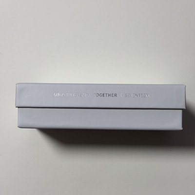 🦁S.COUPS 六週年 飾品配件 項鍊+吊墜 無小卡