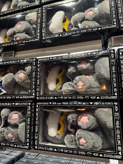 在韓現貨 ZOAful Winter 中娃