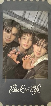 BTL wvs GL ROAR Ver. 9set 預售特典 票卷 / 門票 