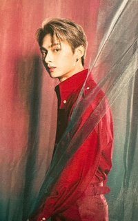 POL 周邊卡 行李箱卡