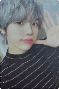 FTO 專輯卡 WHO ver.