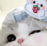 今天也要開心生活